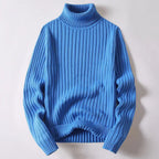 Pullover mit Rollkragen