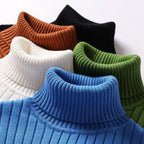 Pullover mit Rollkragen