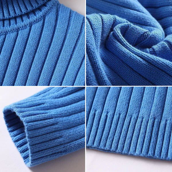 Pullover mit Rollkragen